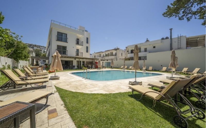 Olive Tree Hotel