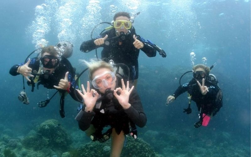 Bodrum’da Dalış İçin En İdeal Mevsim