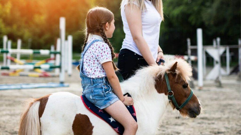 Bodrum Cocuklu Aileler Ne Yapar