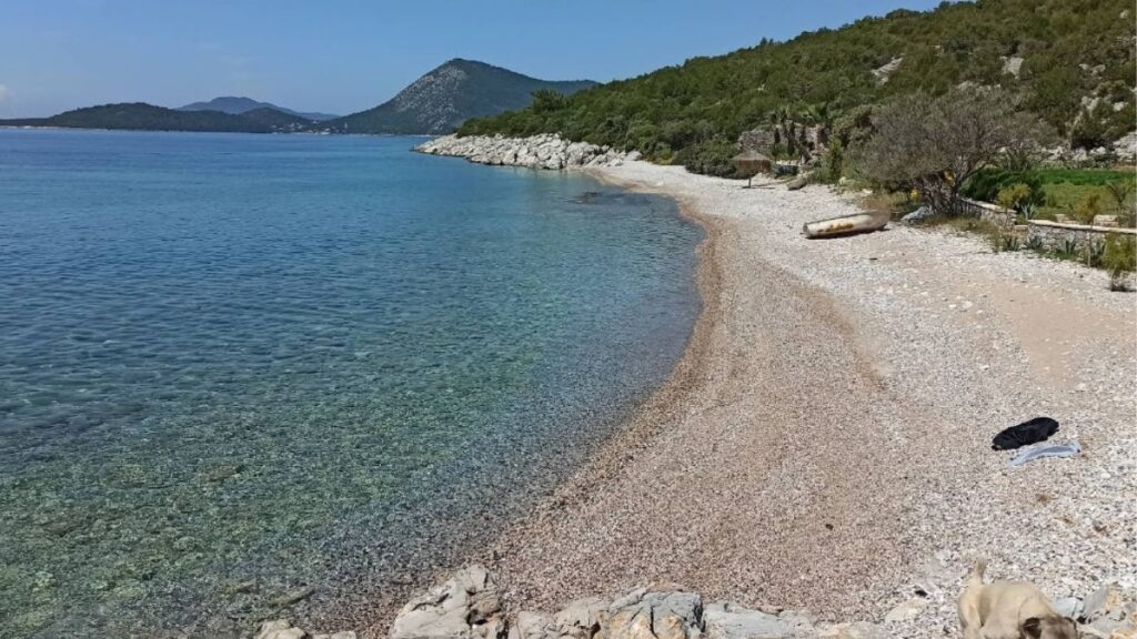 Dangir Koyu