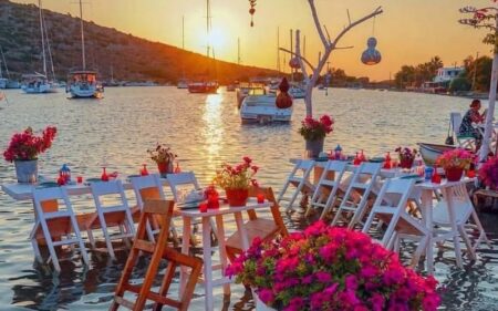 Bodrum Begonvil 2