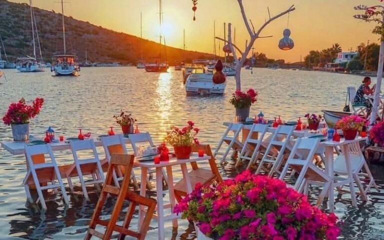 Bodrum Begonvil 2