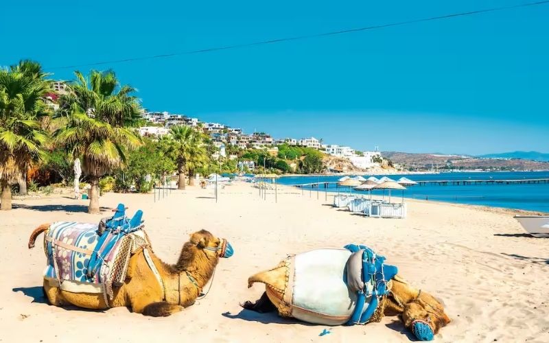 Bodrum Deve Plaji