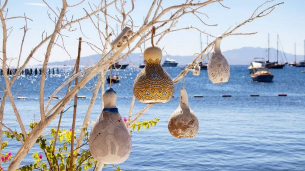 Bodrum Su Kabagi Lambalari